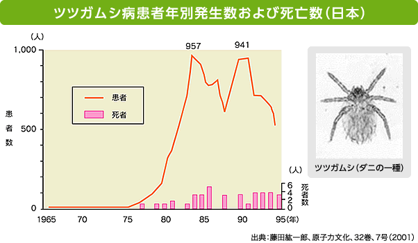 ツツガムシ病患者年別発生数および死亡数（日本）